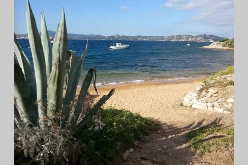 Апартаменты Casa Maddalenina Con Giardino, Vicino Al Mare! Ла-Маддалена Экстерьер фото